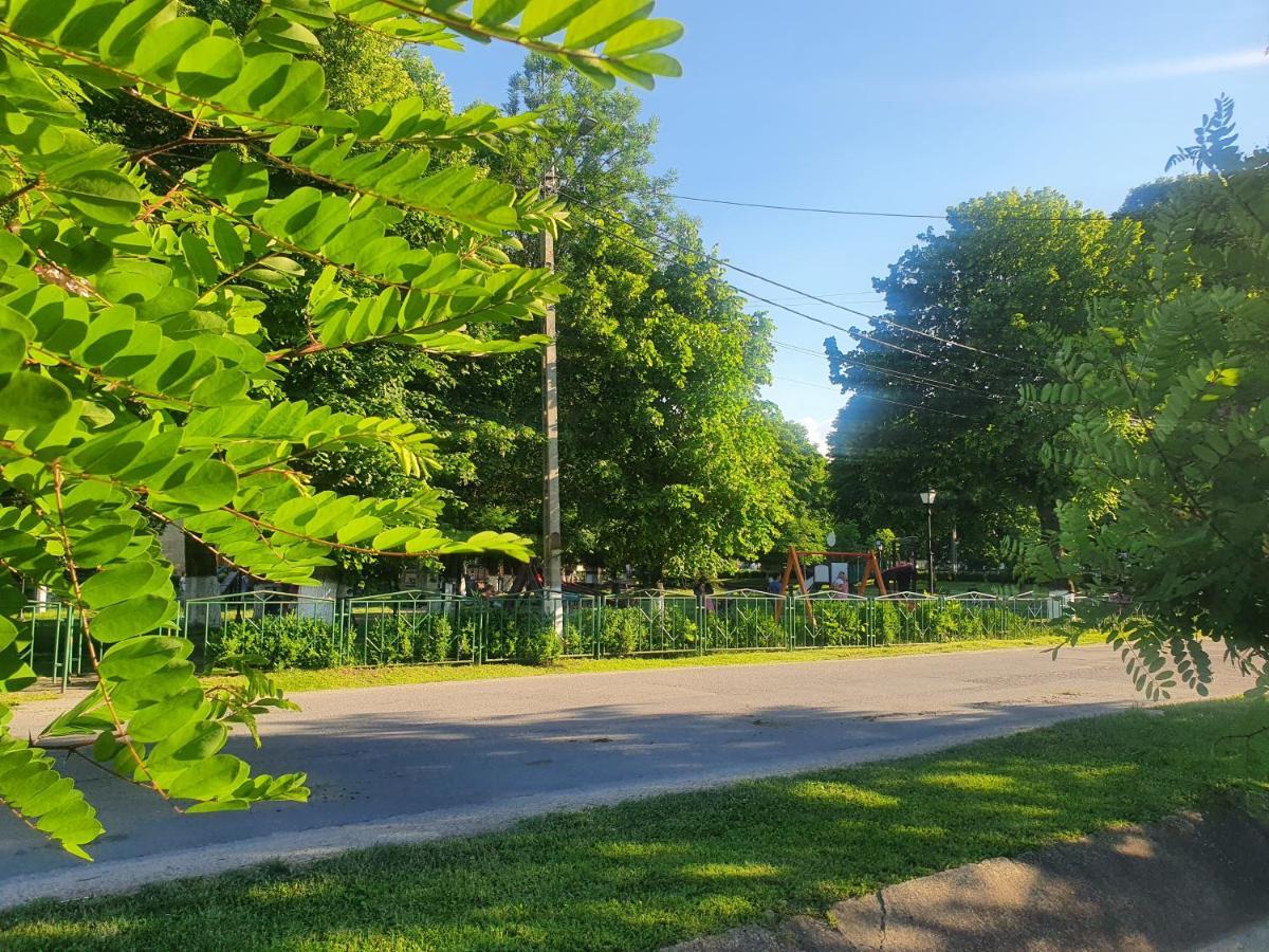 Casa De Vacanta Ayan Harman Екстер'єр фото